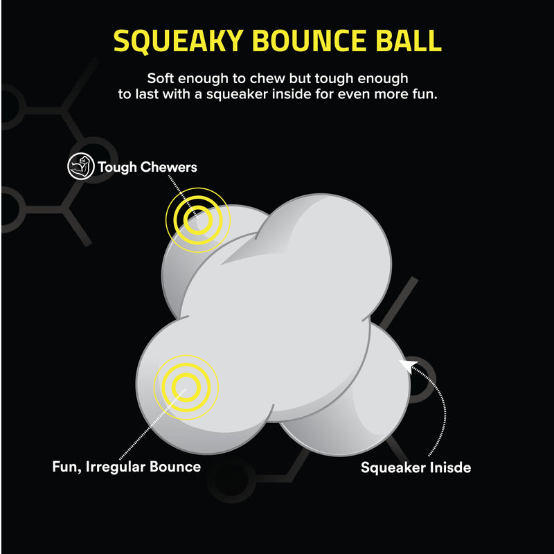 Squeaky Bounce Ball
