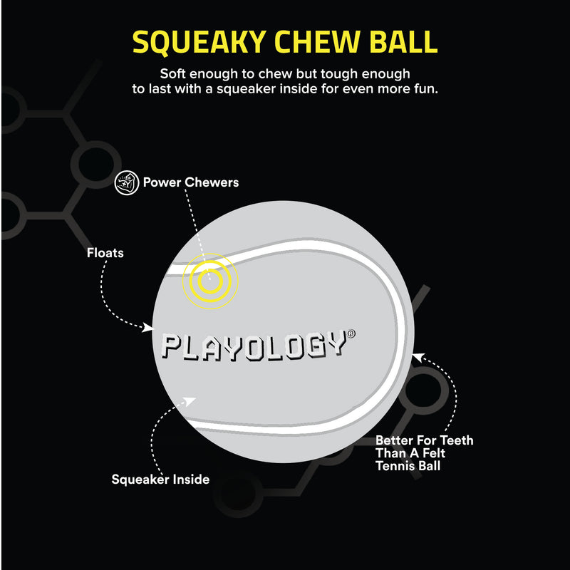 Squeaky Chew Ball