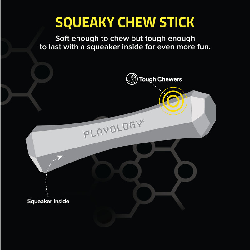 Squeaky Chew Stick