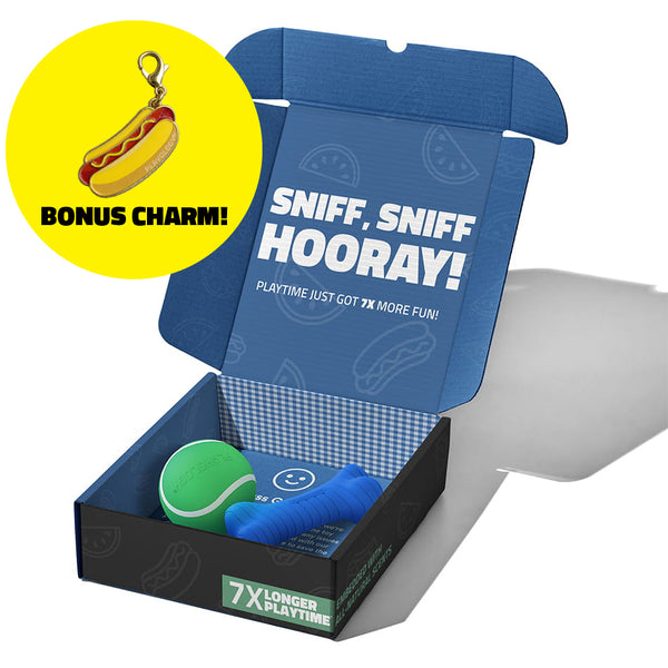 Limited Edition Summer Box | Medium – Playology