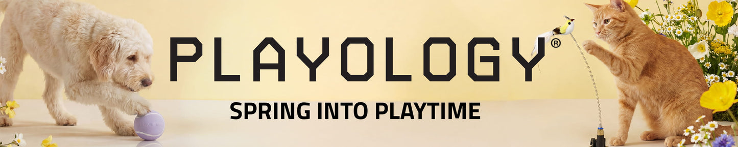 Playology