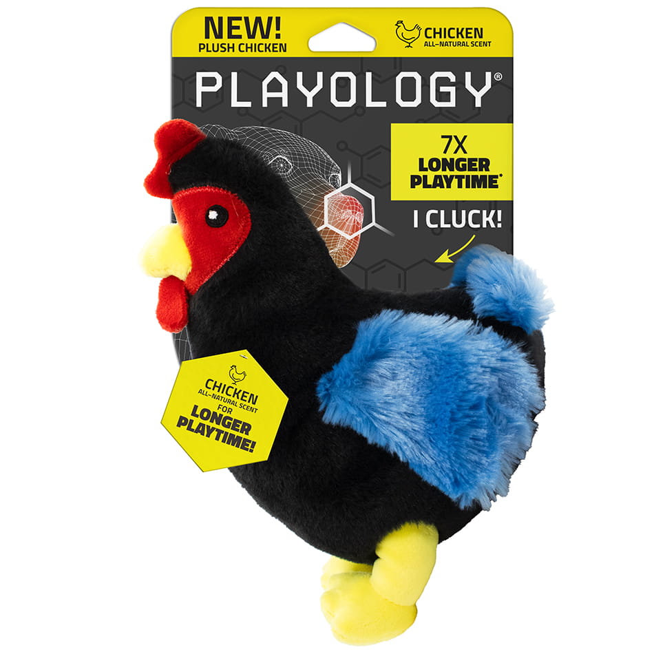Plush Hen