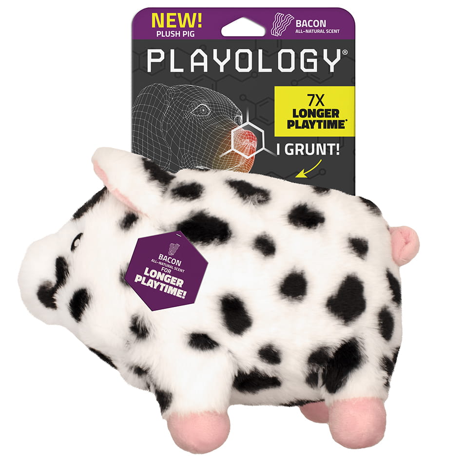 Plush Pig
