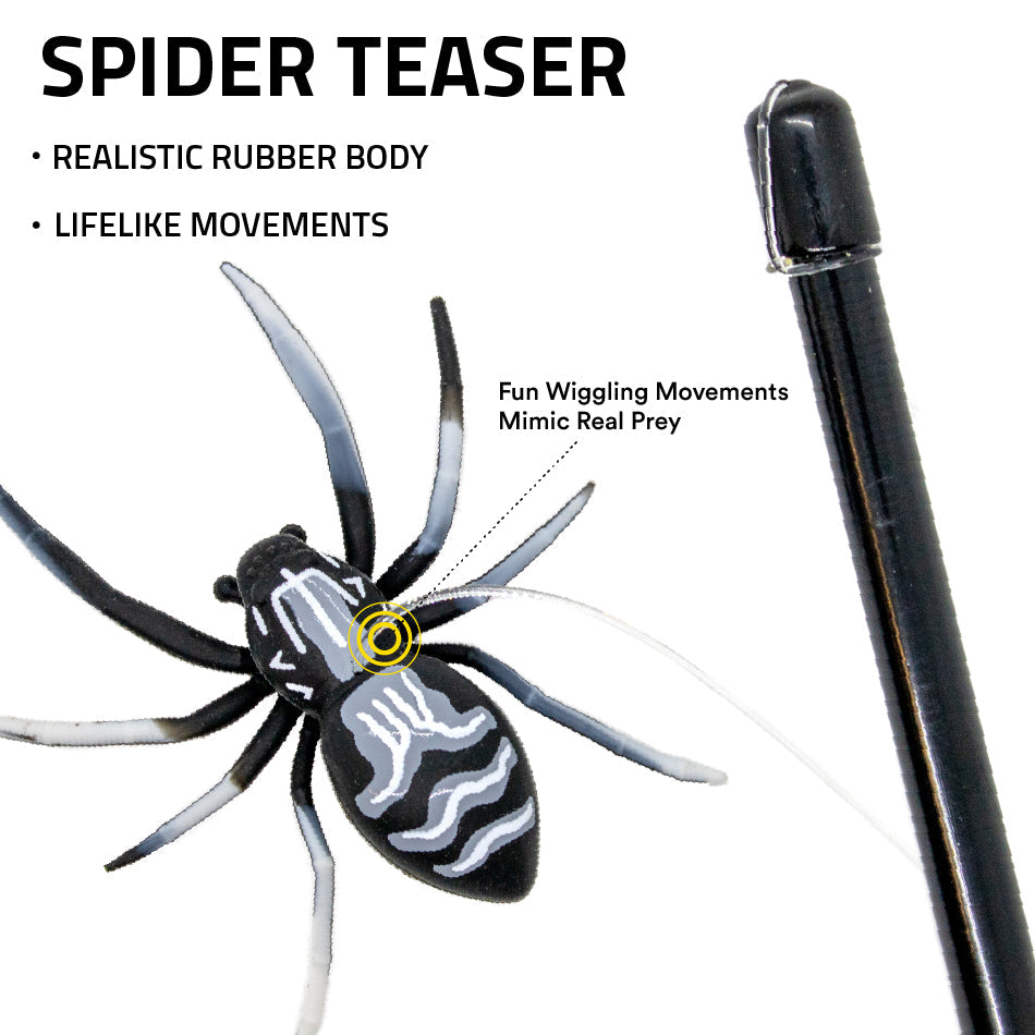 
                  
                    Spider Teaser
                  
                