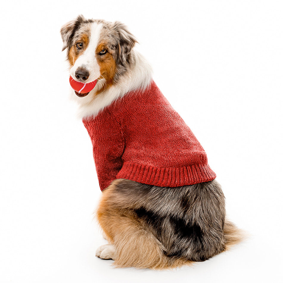 
                  
                    Squeaky Chew Ball | Grandma's Gravy
                  
                