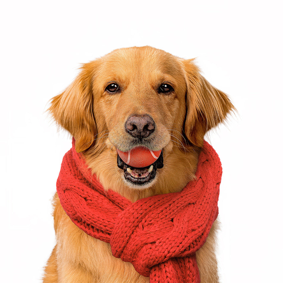 
                  
                    Squeaky Chew Ball | Grandma's Gravy
                  
                