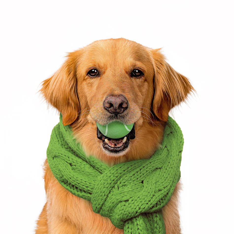 
                  
                    Squeaky Chew Ball | Mom's Turkey
                  
                