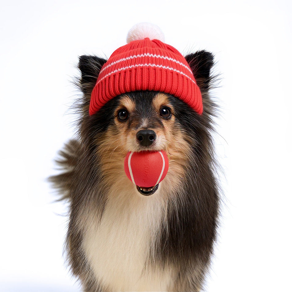 
                  
                    Squeaky Chew Ball | Grandma's Gravy
                  
                