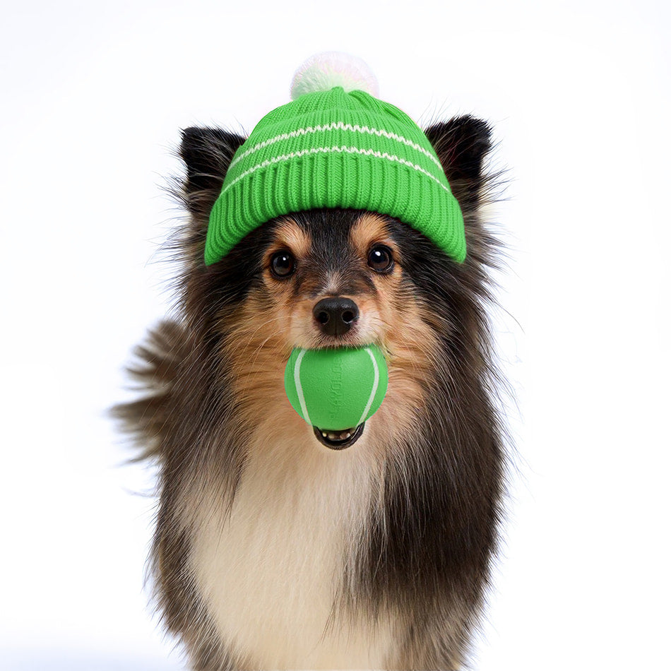 
                  
                    Squeaky Chew Ball | Mom's Turkey
                  
                