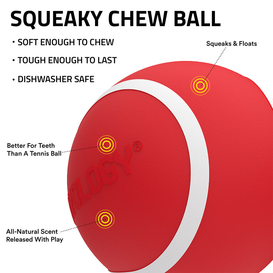 
                  
                    Squeaky Chew Ball | Grandma's Gravy
                  
                