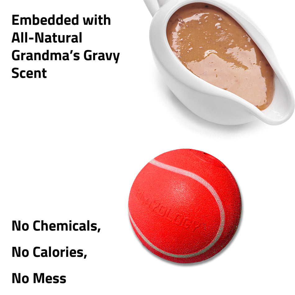 
                  
                    Squeaky Chew Ball | Grandma's Gravy
                  
                