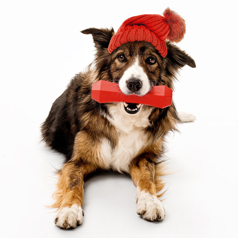 
                  
                    Squeaky Chew Stick | Grandma's Gravy
                  
                