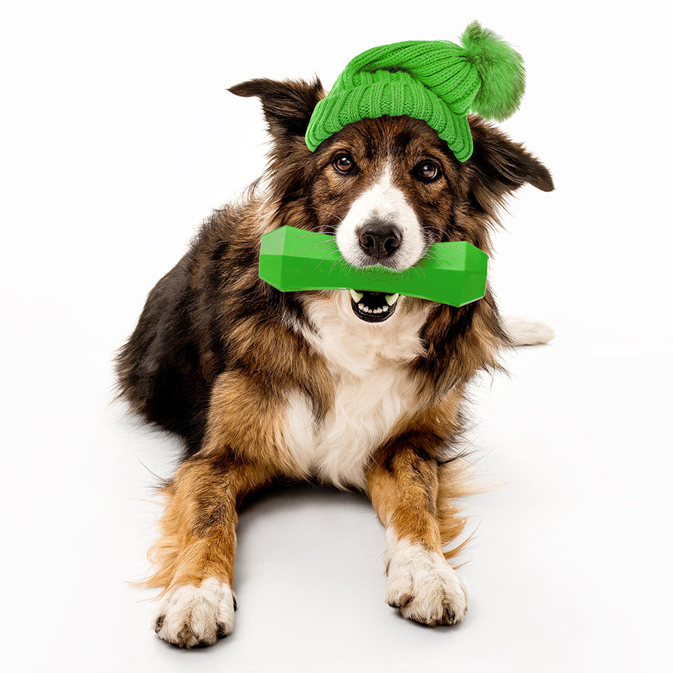 
                  
                    Squeaky Chew Stick | Mom's Turkey
                  
                