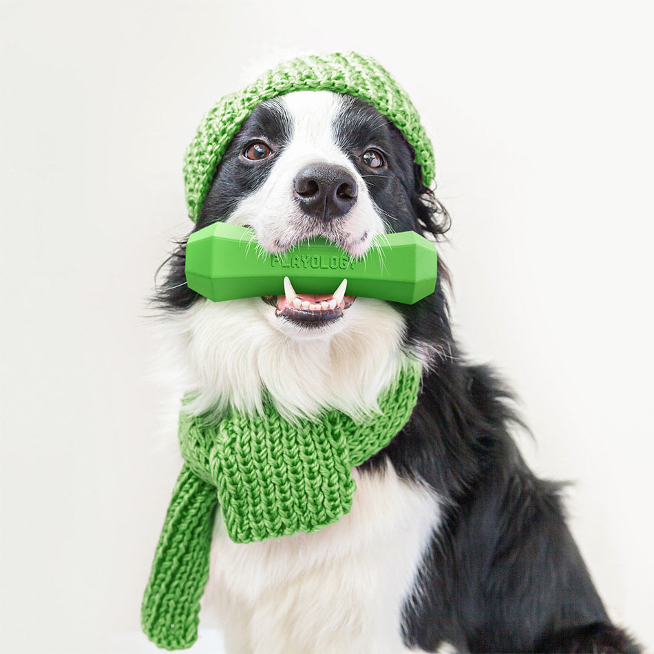 
                  
                    Squeaky Chew Stick | Mom's Turkey
                  
                