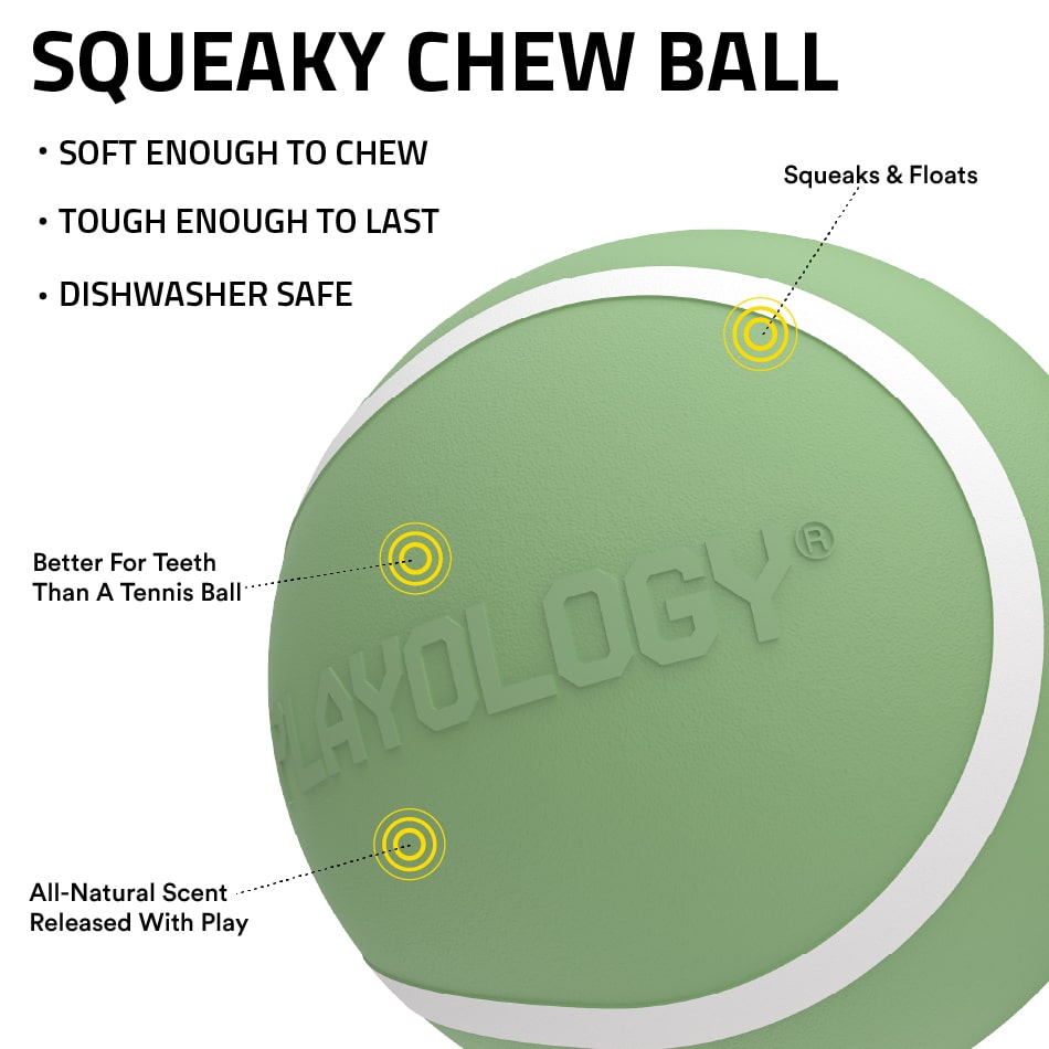 
                  
                    Squeaky Chew Ball | Squash & Sage
                  
                