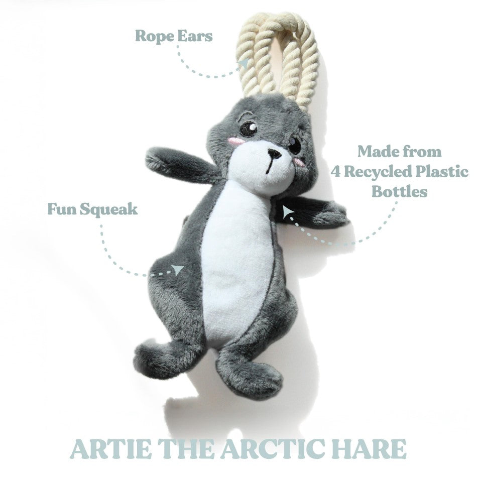 
                  
                    Artie the Arctic Hare
                  
                