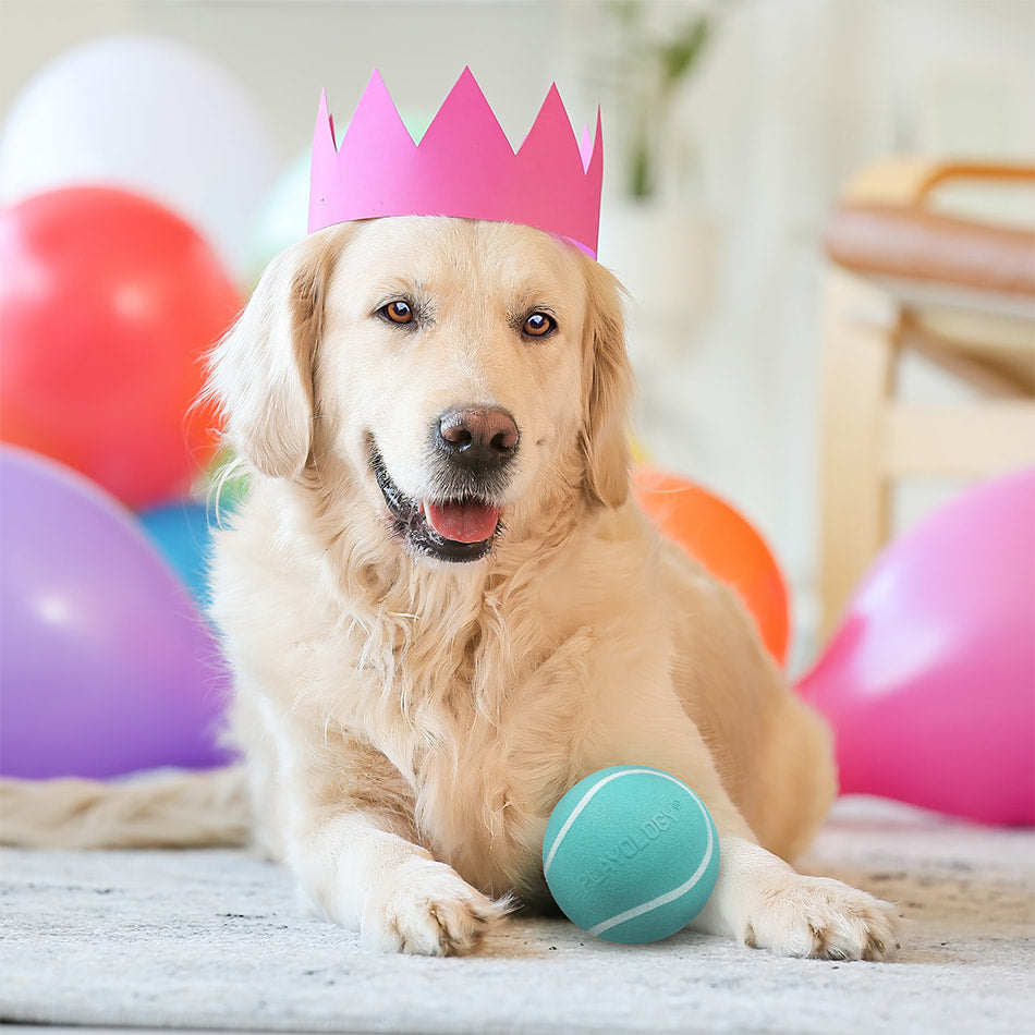 
                  
                    Jumbo Birthday Gift Set - Peanut Butter
                  
                