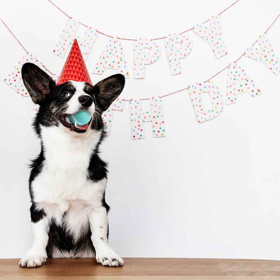 
                  
                    Medium Birthday Gift Set - Peanut Butter
                  
                