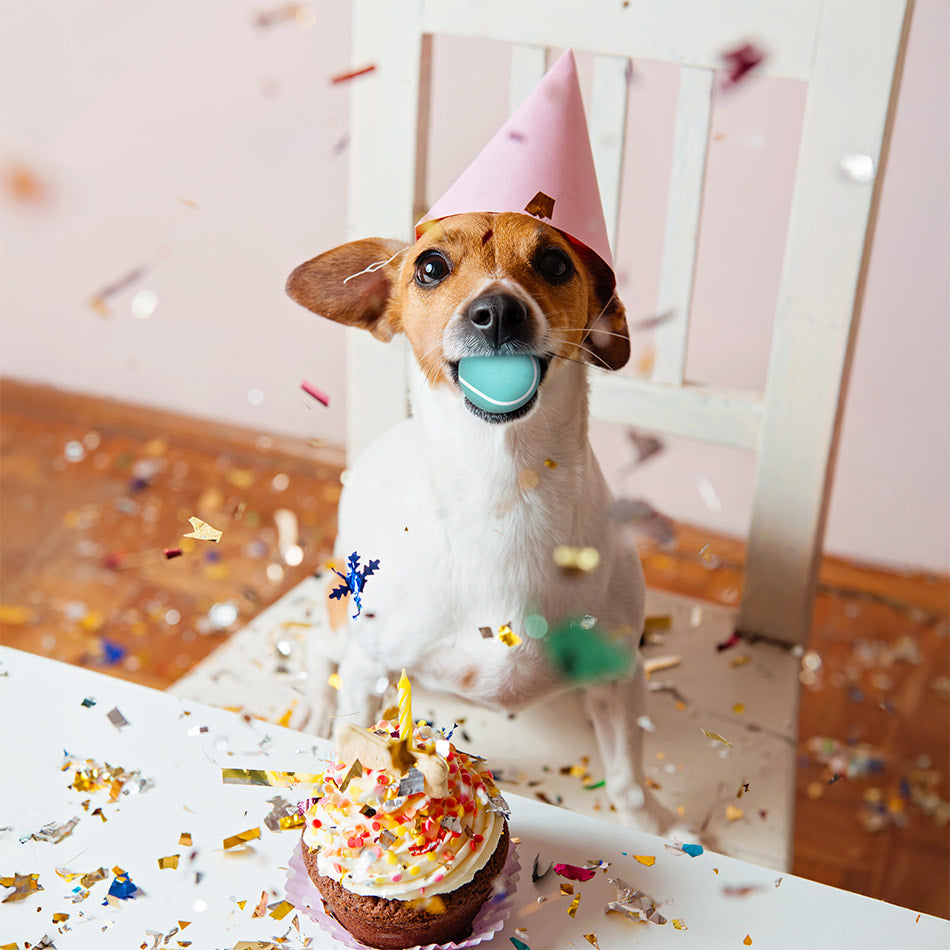 
                  
                    Small Birthday Gift Set - Peanut Butter
                  
                
