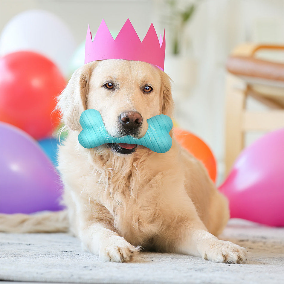 
                  
                    Jumbo Birthday Gift Set - Peanut Butter
                  
                