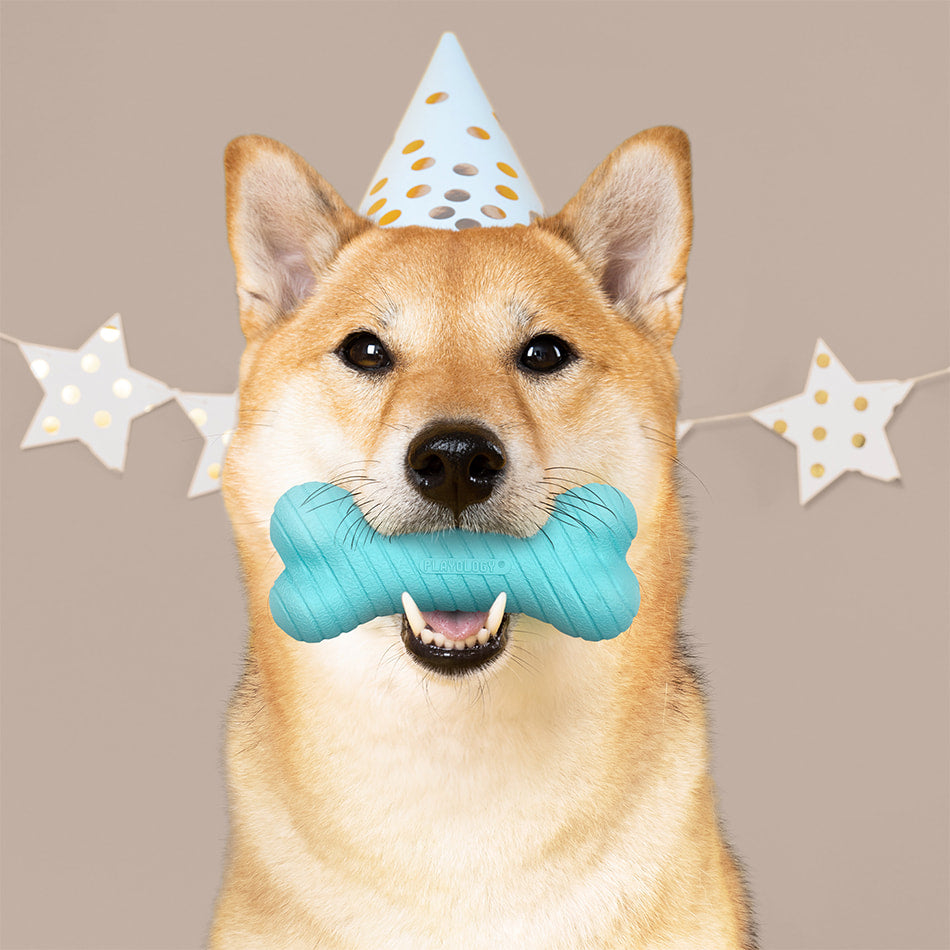 
                  
                    Medium Birthday Gift Set - Peanut Butter
                  
                