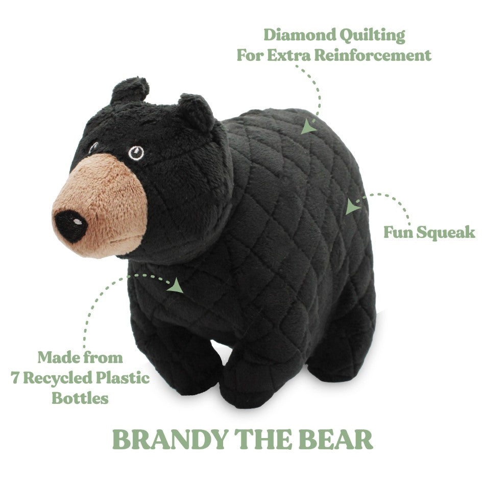 
                  
                    Brandy the Black Bear
                  
                