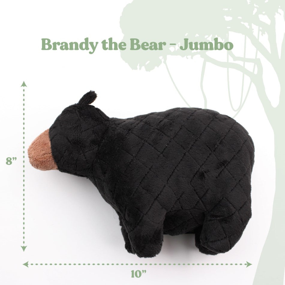 
                  
                    Brandy the Black Bear
                  
                