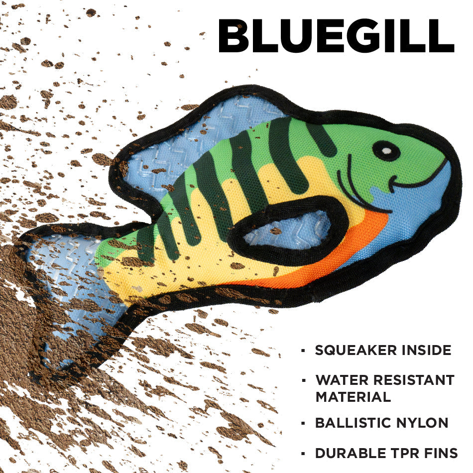 
                  
                    Bluegill Fish
                  
                