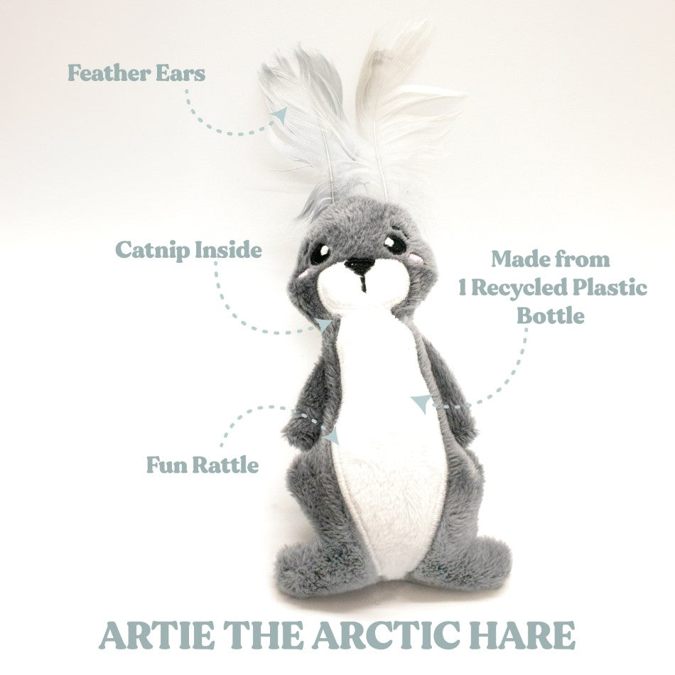 
                  
                    Artie the Arctic Hare
                  
                