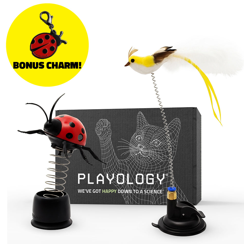Playology product with ladybug and bird toys and a bonus charm on a white background