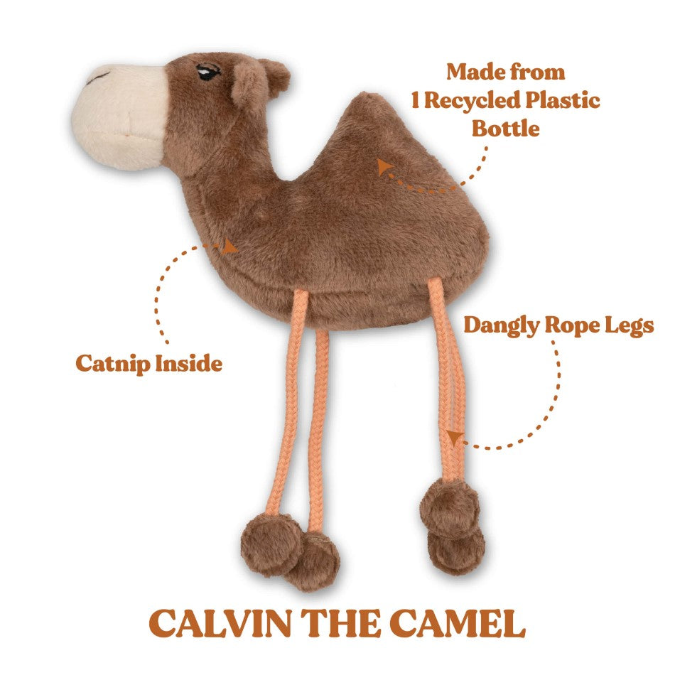 
                  
                    Calvin the Camel - Cat
                  
                