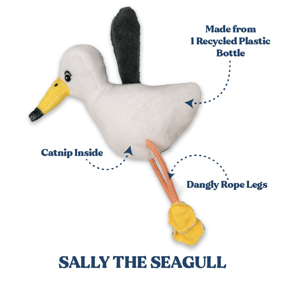 
                  
                    Sally the Seagull
                  
                