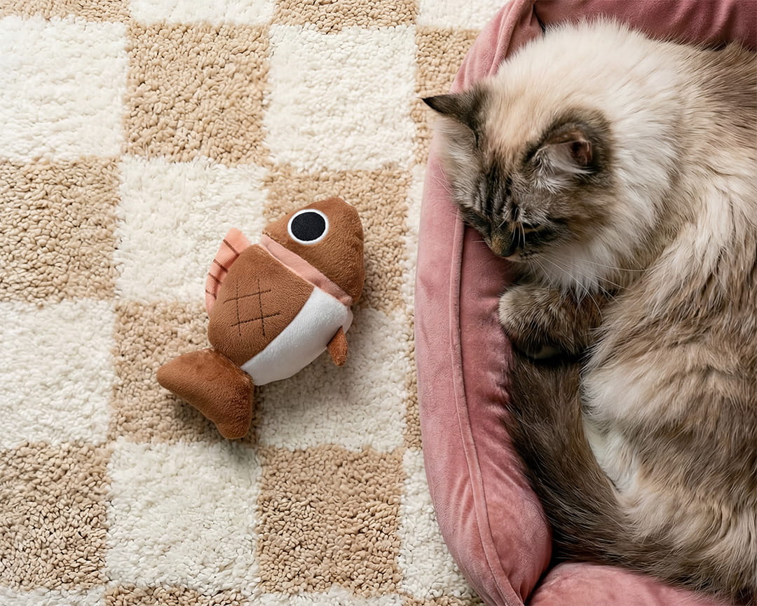 cat toys