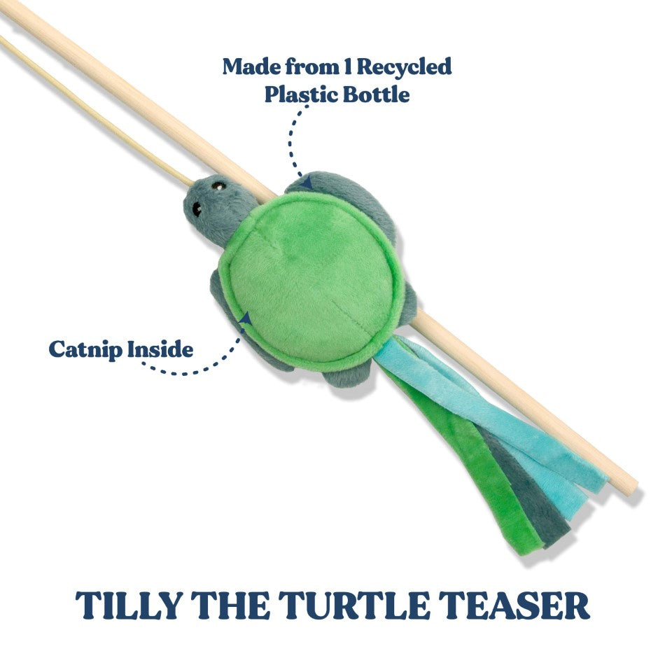 
                  
                    Tilly the Turtle Teaser
                  
                