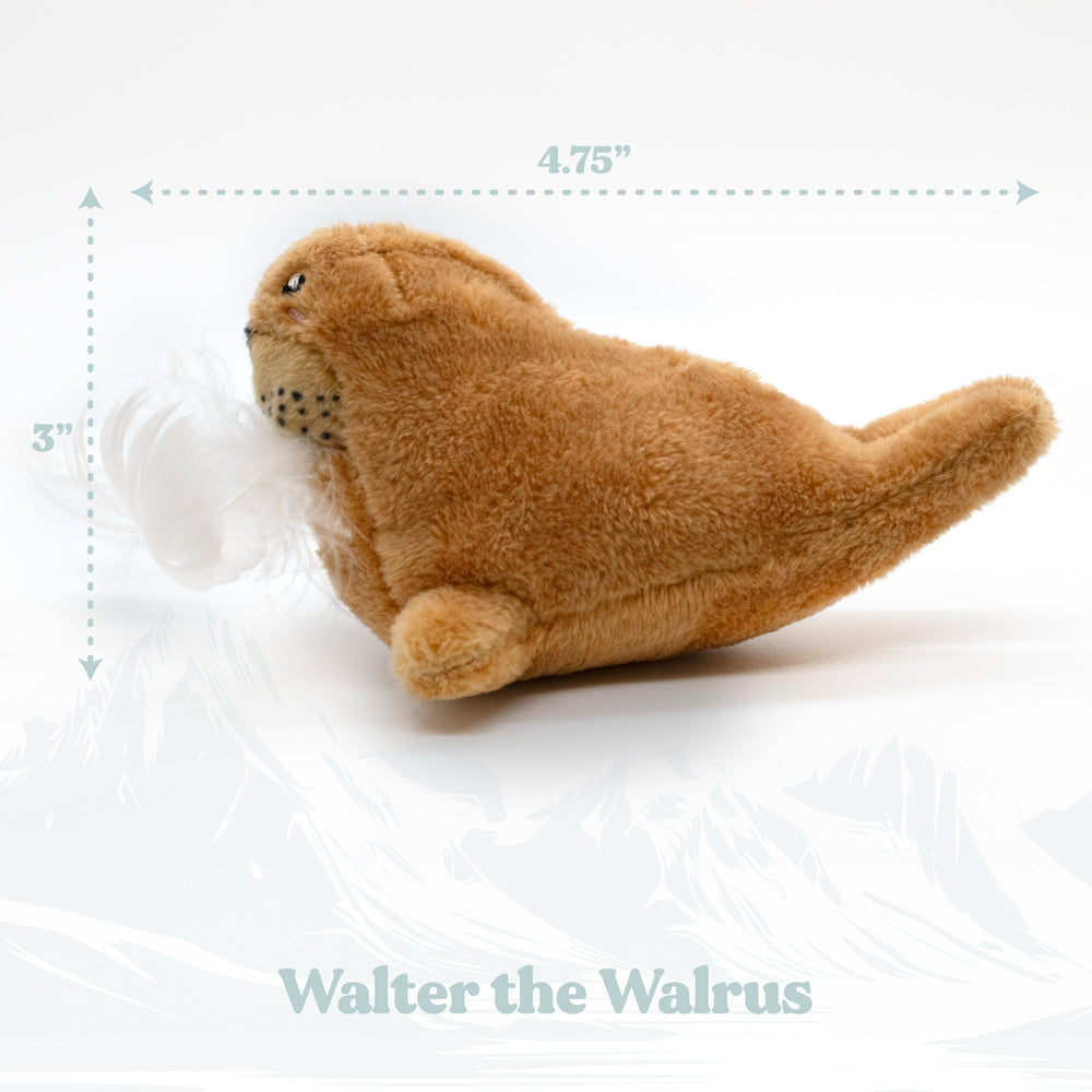 
                  
                    Walter the Walrus - Cat
                  
                