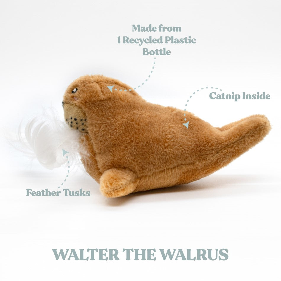 
                  
                    Walter the Walrus - Cat
                  
                