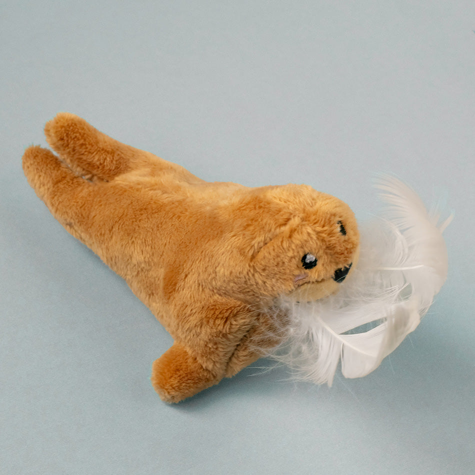 Walter the Walrus - Cat