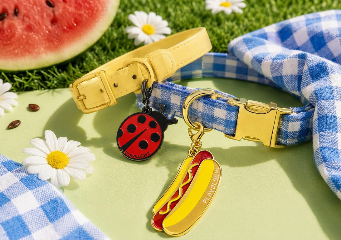 Dog collar with ladybug and hot dog charms on a checkered cloth with watermelon and flowers.