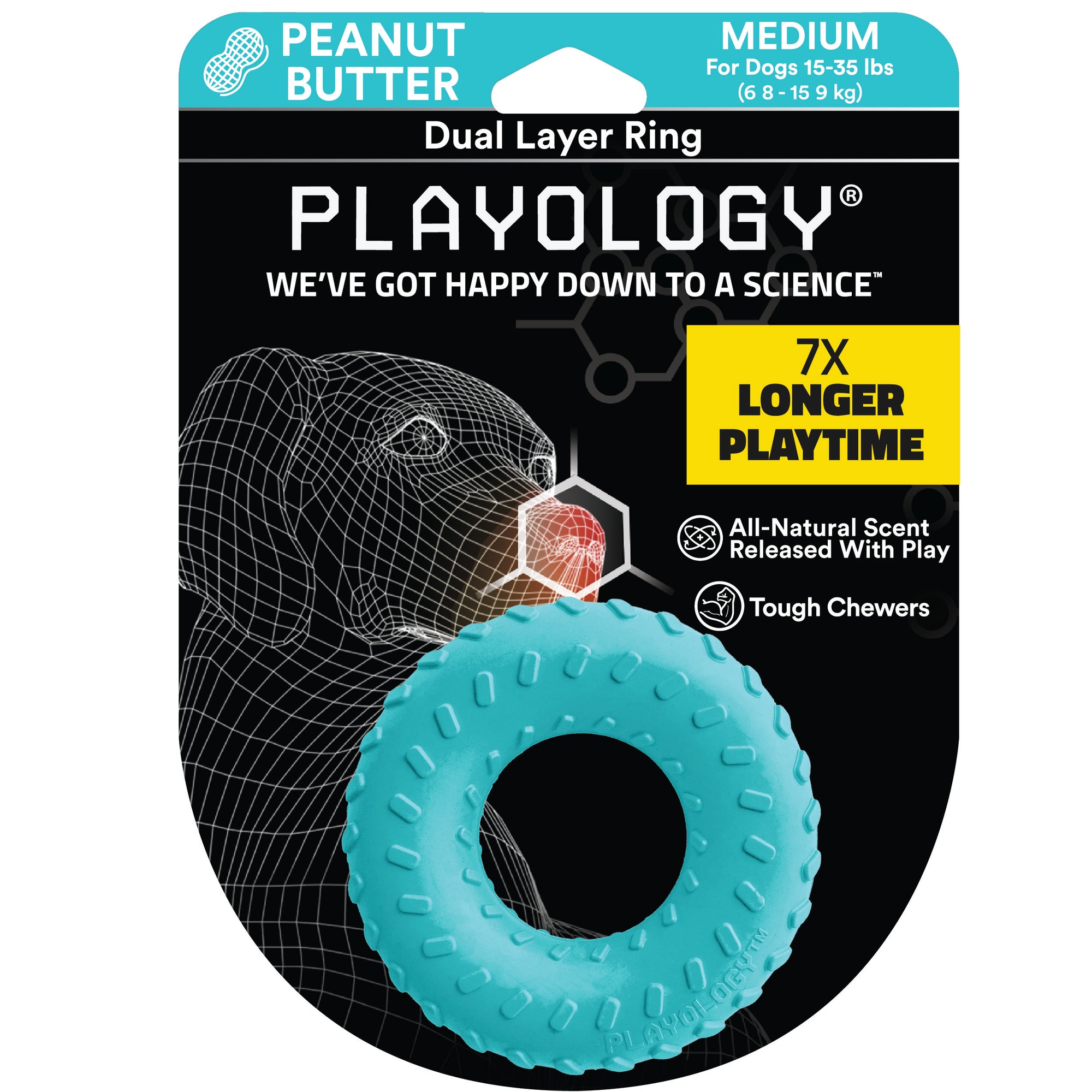 Stacking Ring – PlanToys USA