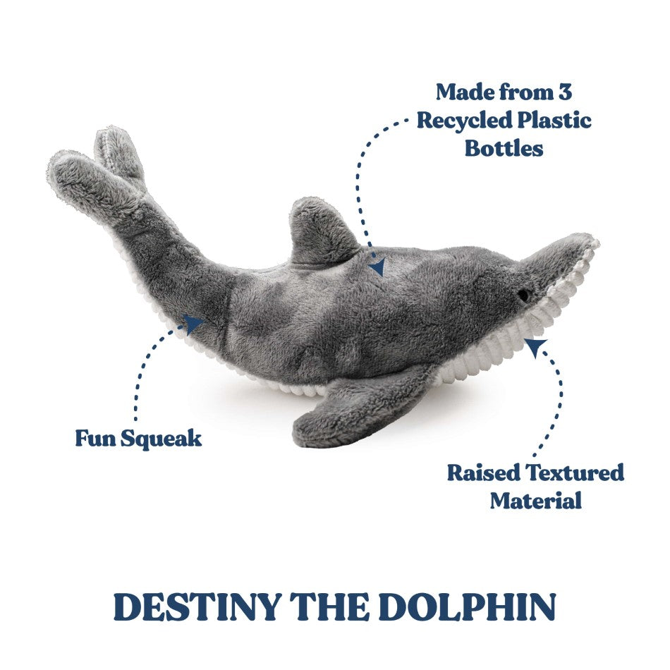 
                  
                    Destiny the Dolphin
                  
                