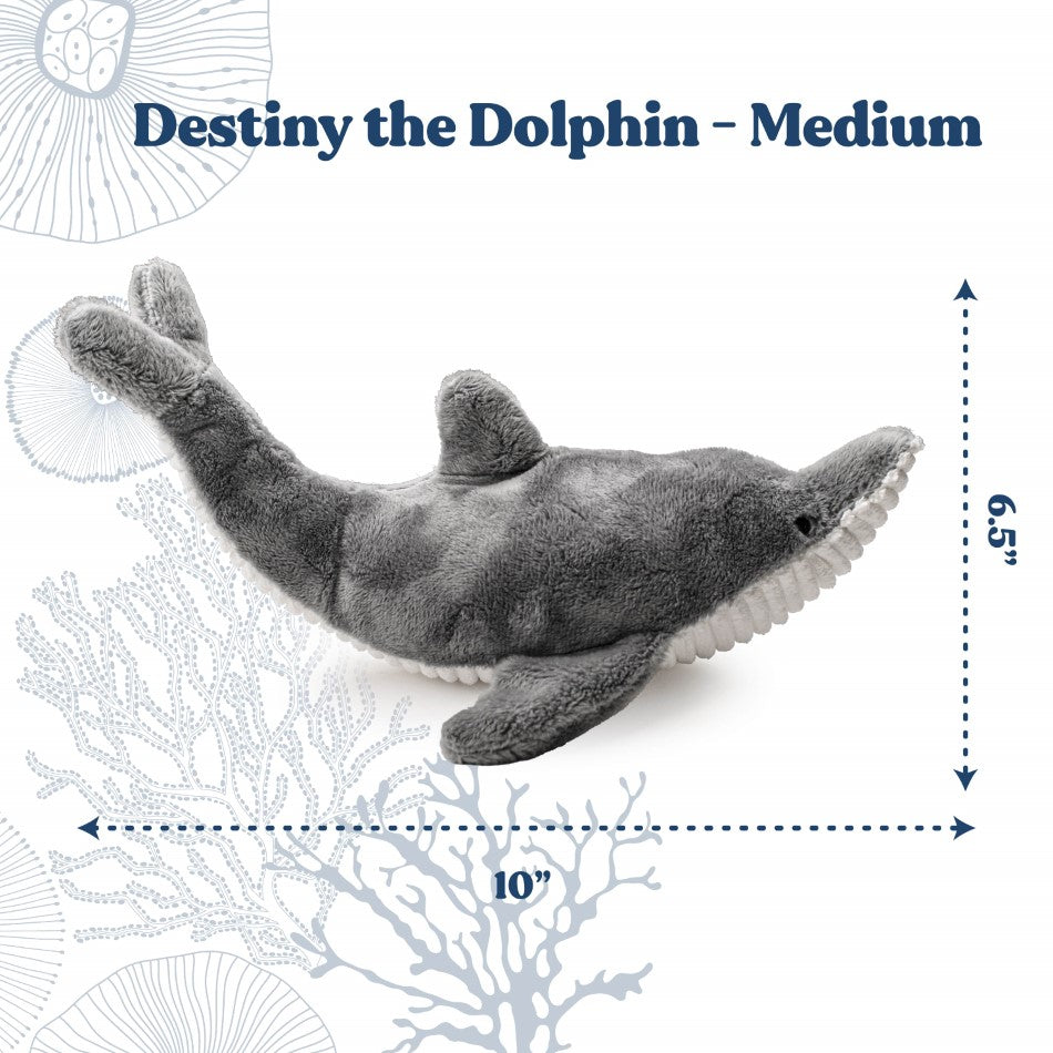 
                  
                    Destiny the Dolphin
                  
                