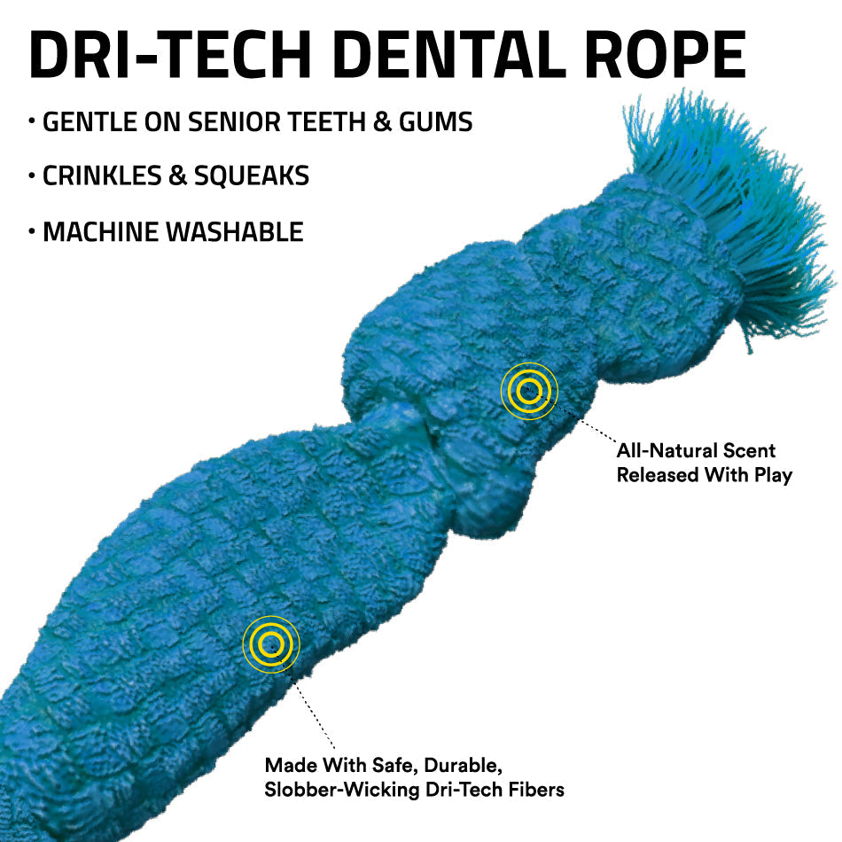 
                  
                    Corde dentaire Dri-Tech
                  
                