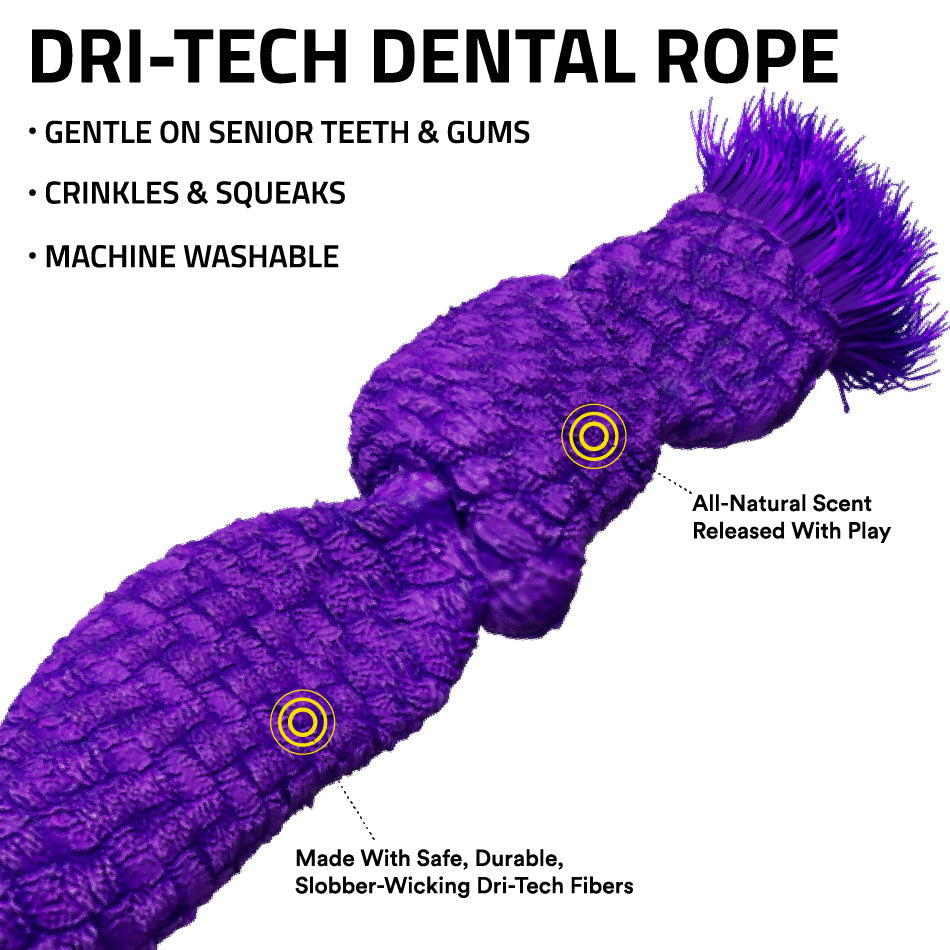 
                  
                    Corde dentaire Dri-Tech
                  
                