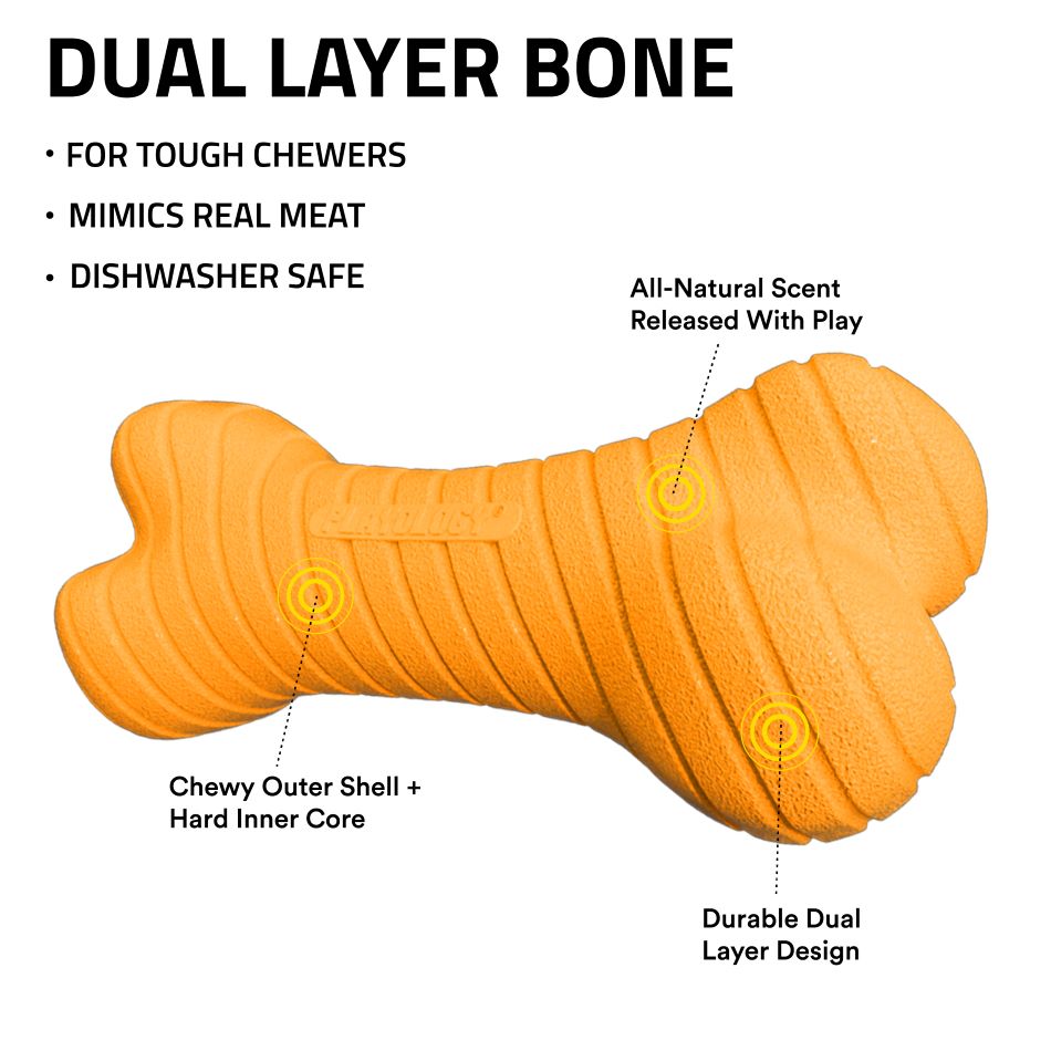 
                  
                    Dual Layer Bone
                  
                