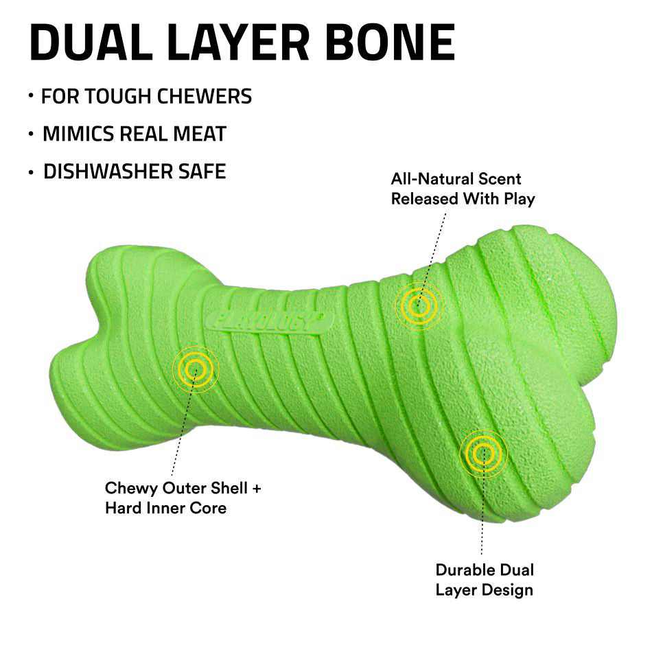 
                  
                    Dual Layer Bone
                  
                