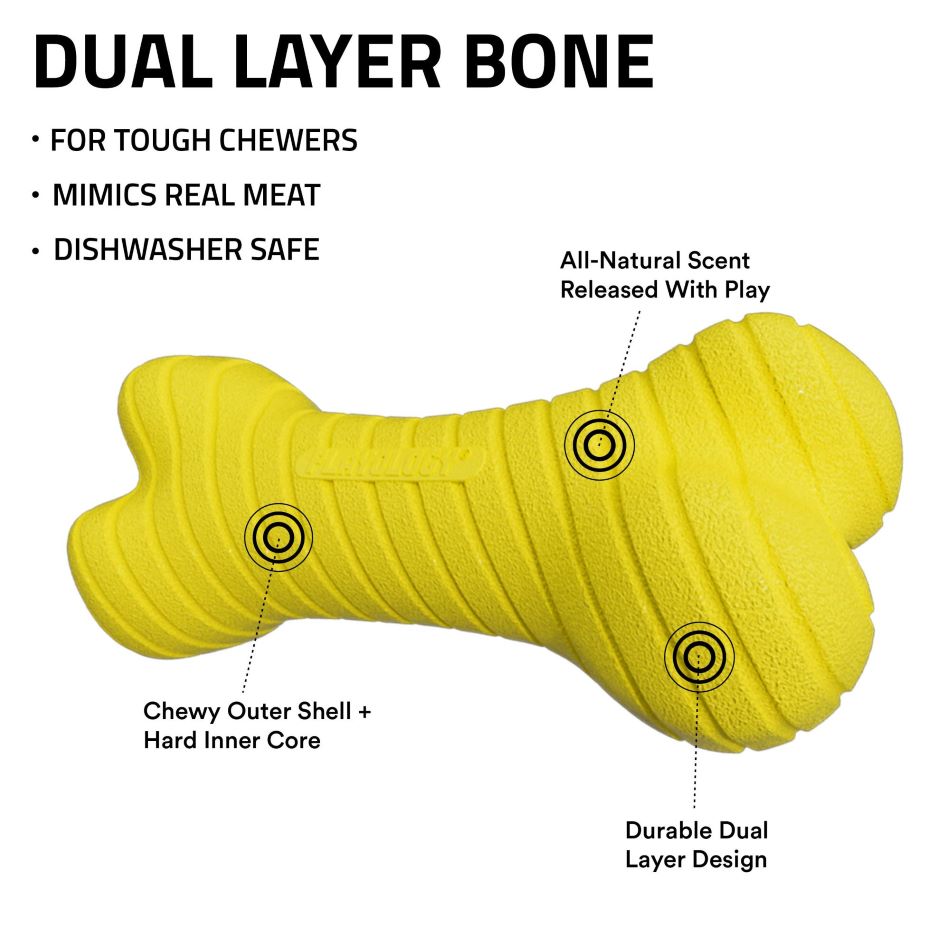 
                  
                    Dual Layer Bone
                  
                