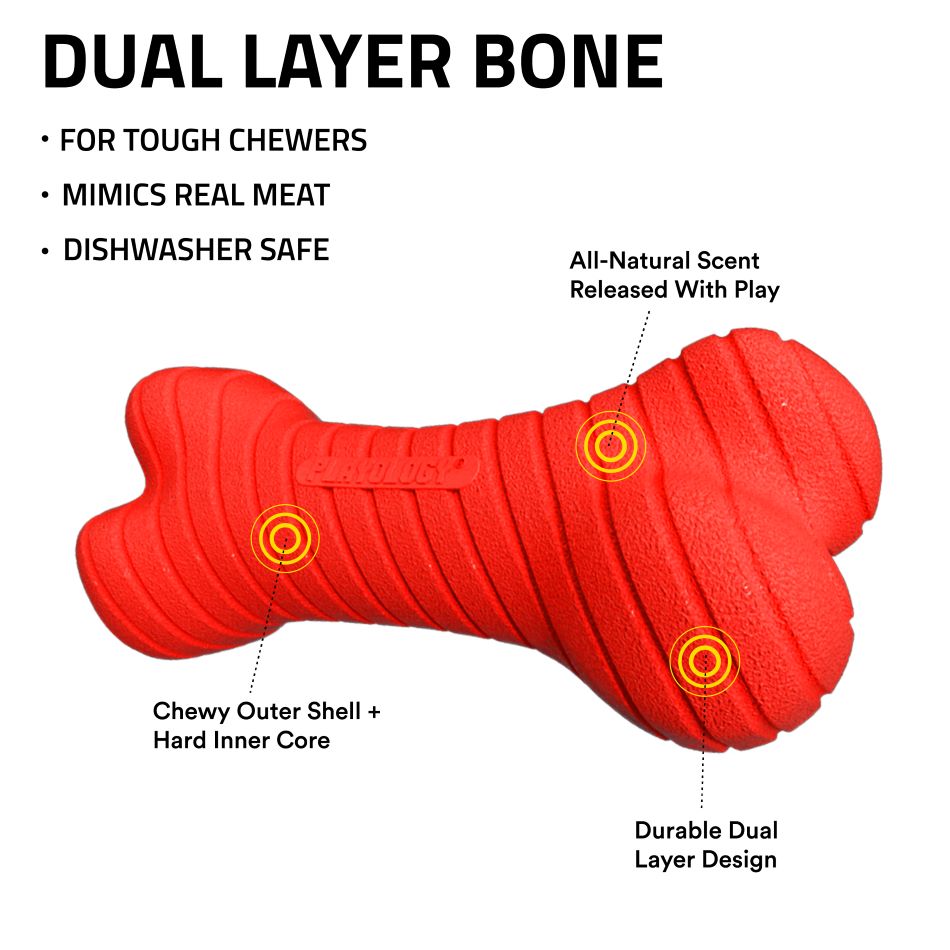 
                  
                    Dual Layer Bone
                  
                