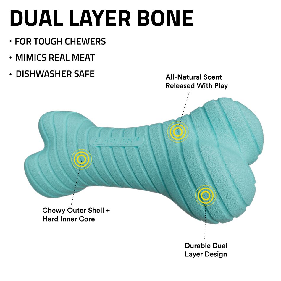 
                  
                    Dual Layer Bone
                  
                