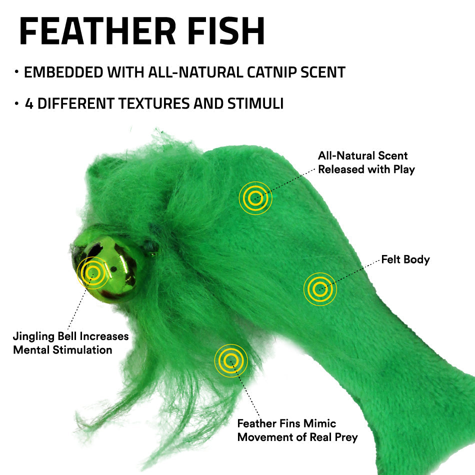 
                  
                    Feather Fish
                  
                