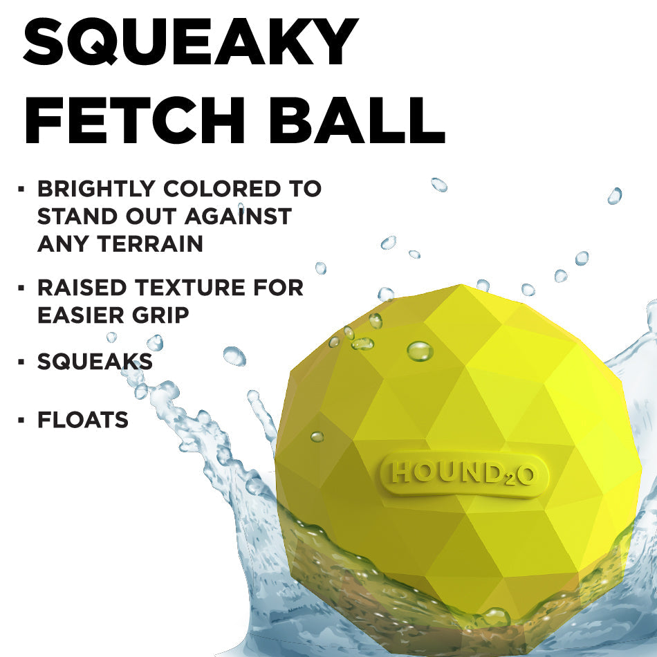 
                  
                    Squeaky Fetch Ball
                  
                